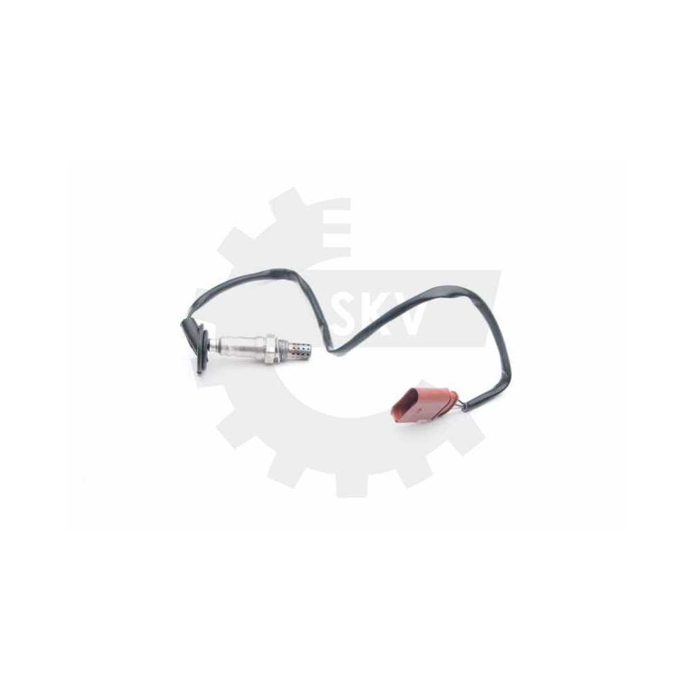 036906262F 036906262F