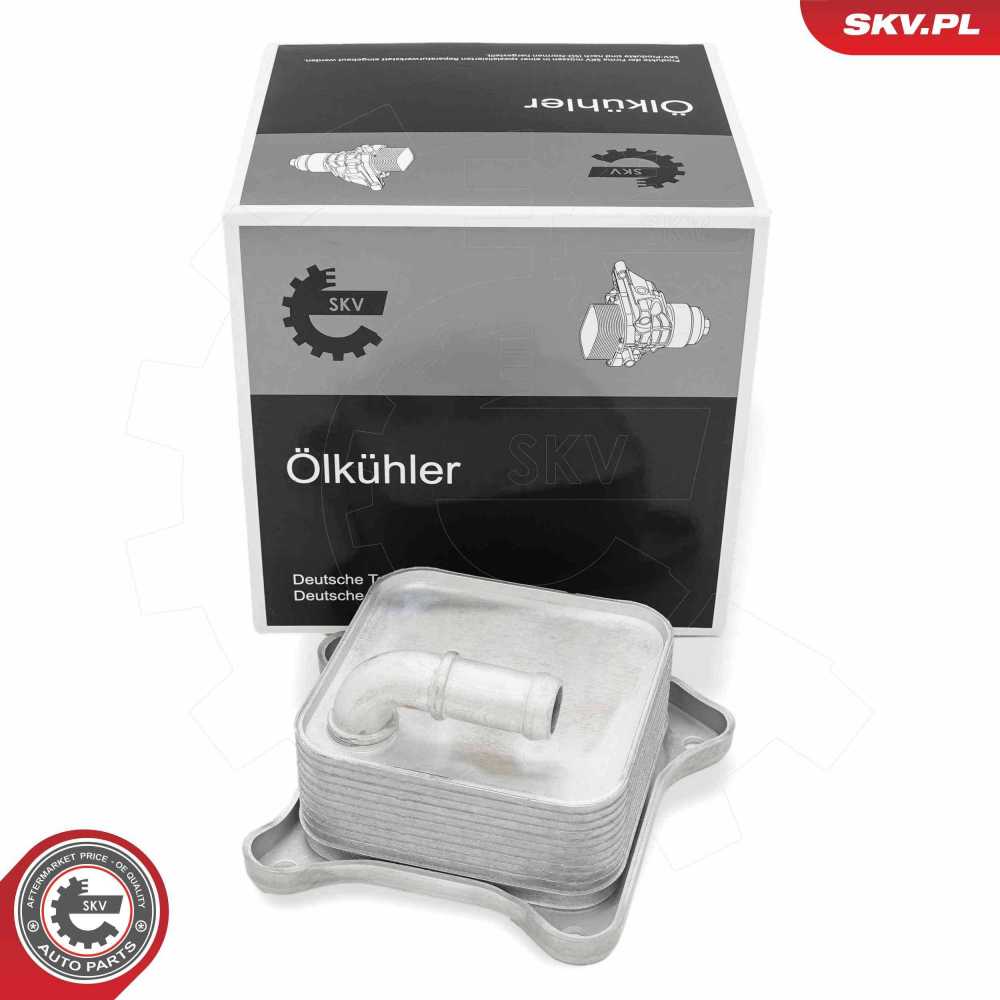 03F117021A 03F117021A