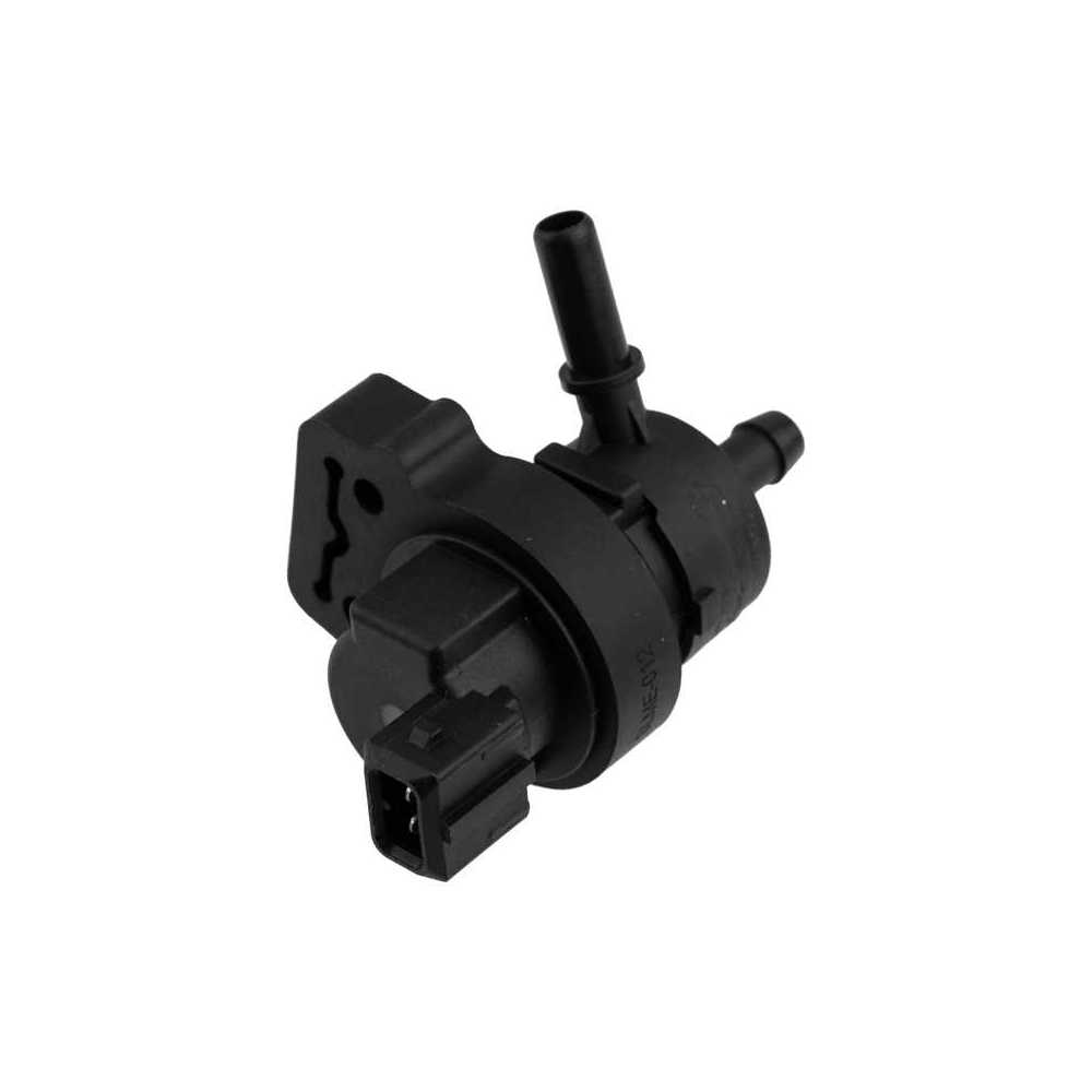 2124702493 2124702493